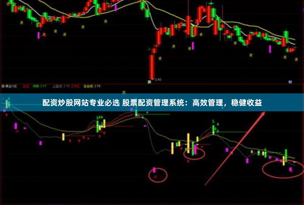 配资炒股网站专业必选 股票配资管理系统：高效管理，稳健收益