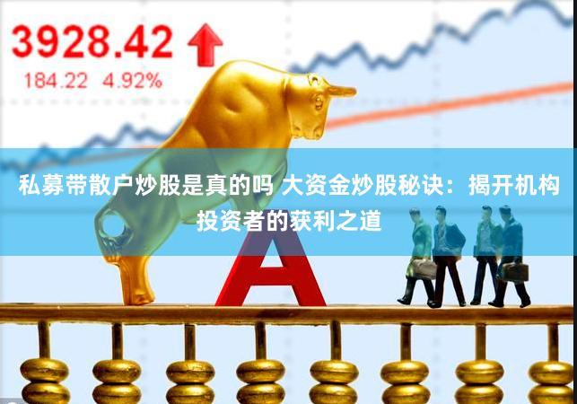私募带散户炒股是真的吗 大资金炒股秘诀：揭开机构投资者的获利之道