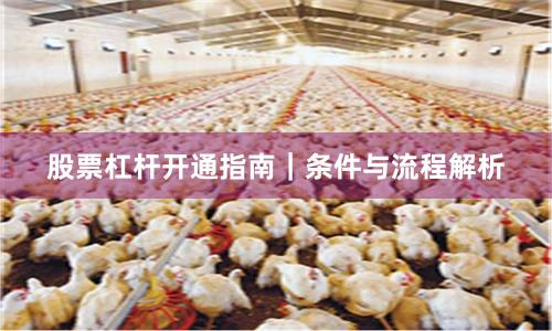股票杠杆开通指南｜条件与流程解析
